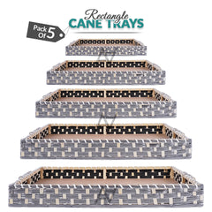 Set of 5 - Silver Rectangle Cane Baskets for Gifting or Wedding decoration