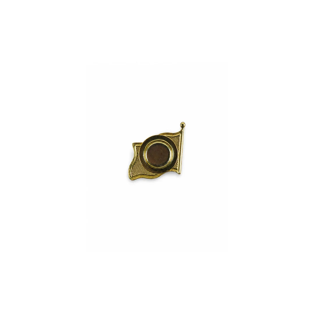 Pakistan Flag Magnetic Badges - Pack of 12