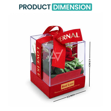 Acrylic Red Box