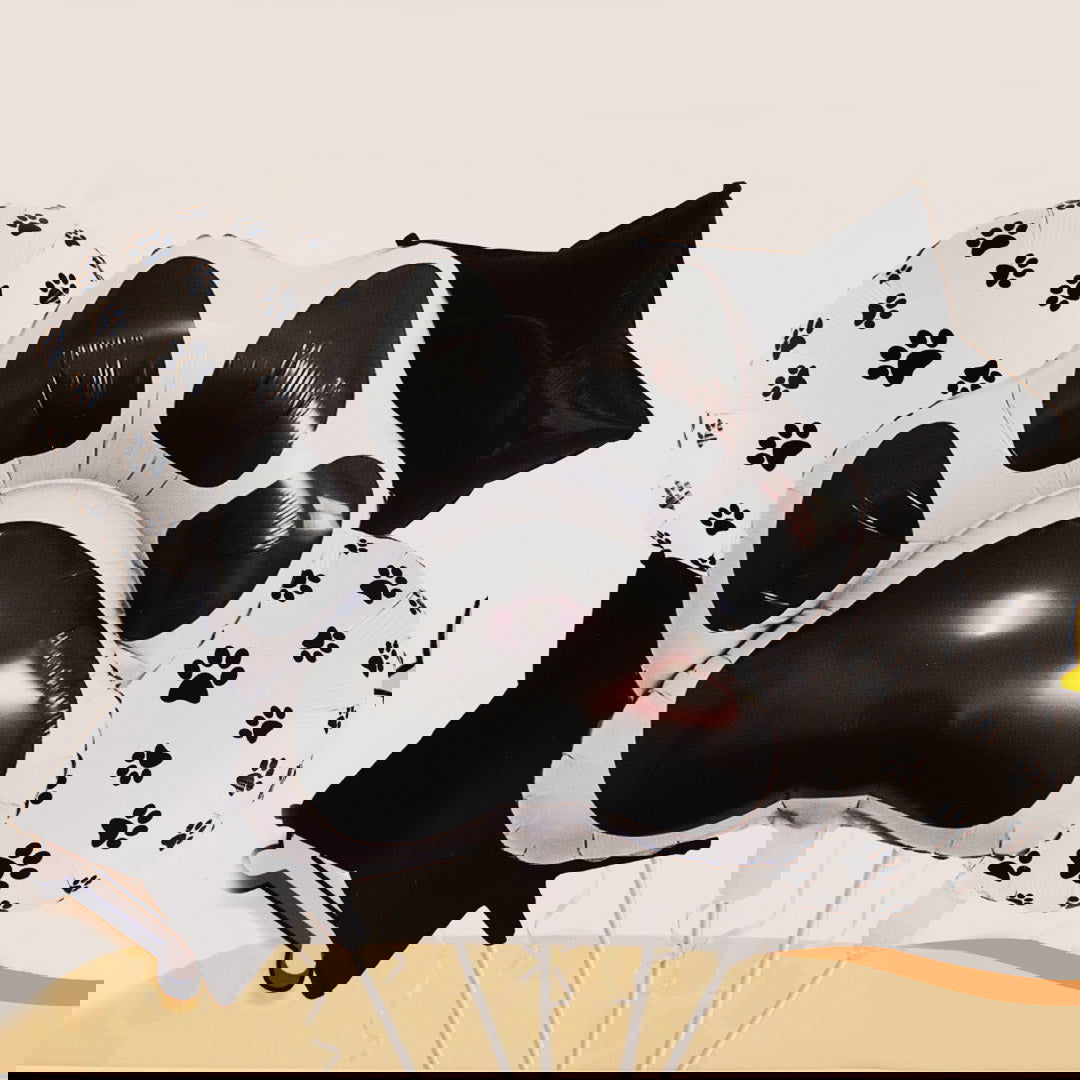 Panda Feet Foil balloons 5 Pcs Set