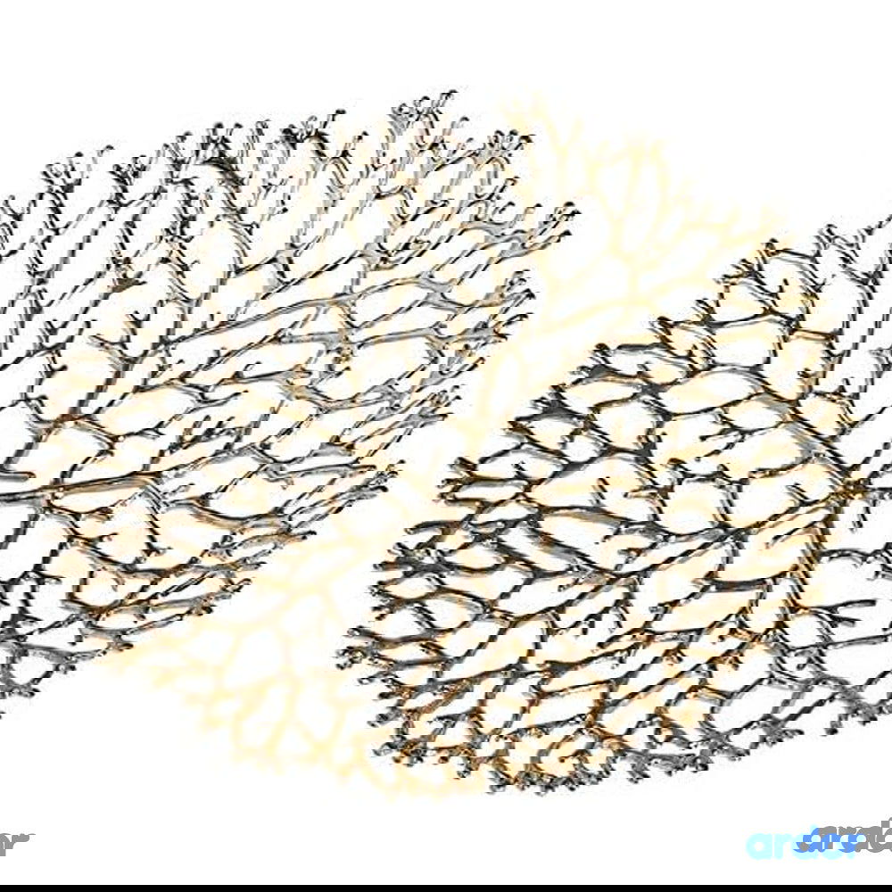 Ramadan Fruits & Khajoor Tray - ardor