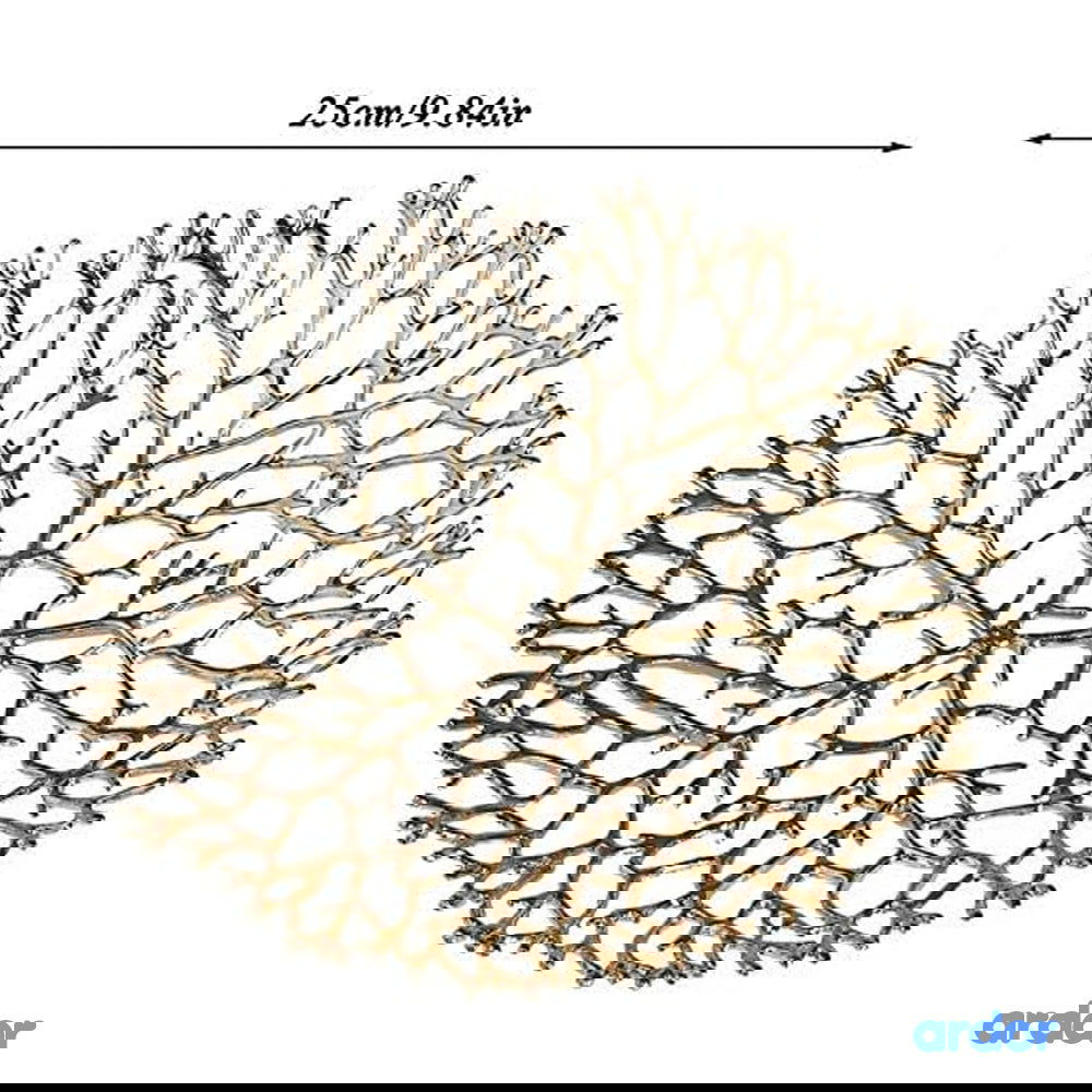 Ramadan Fruits & Khajoor Tray - ardor