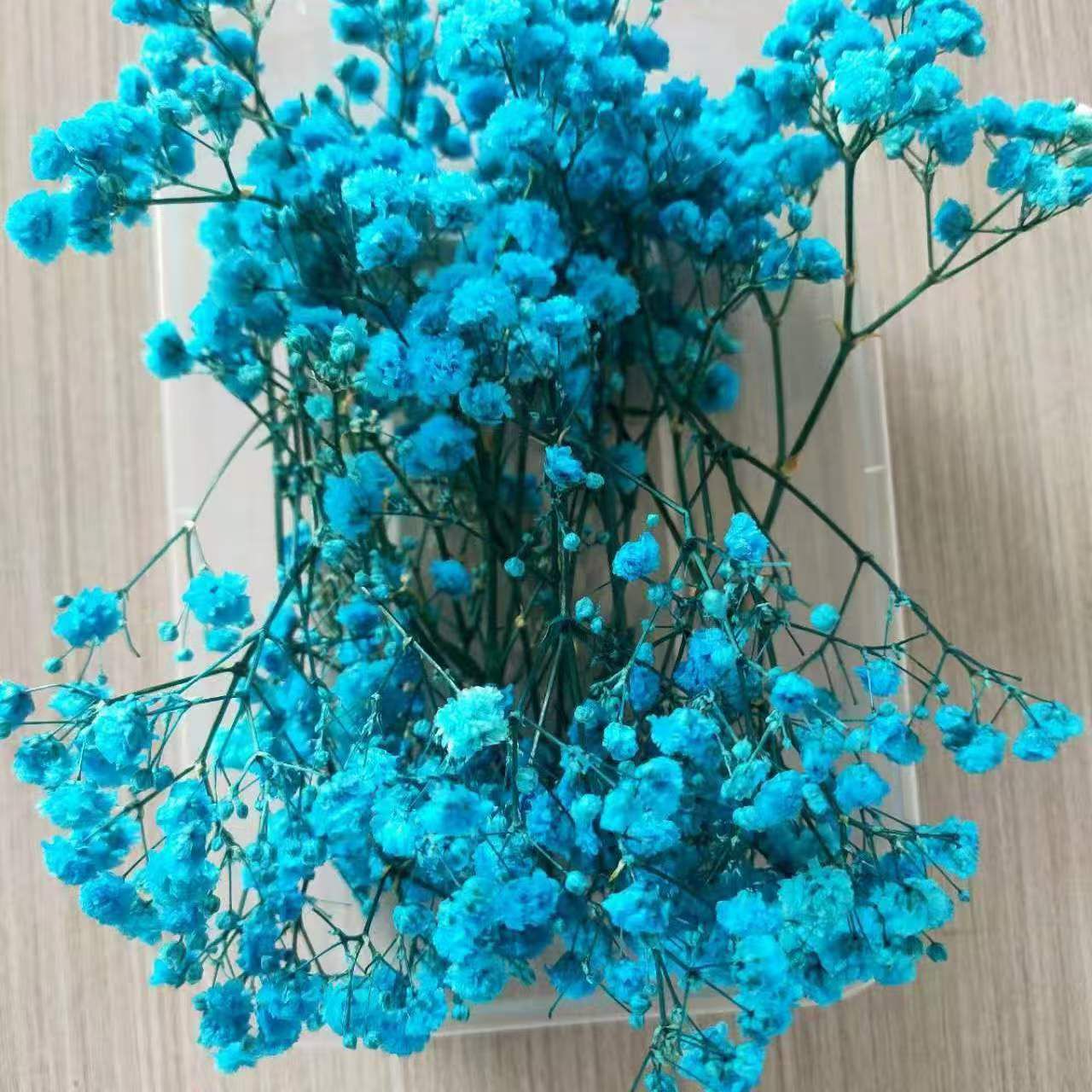 Dried Natural Baby Breathe Flowers
