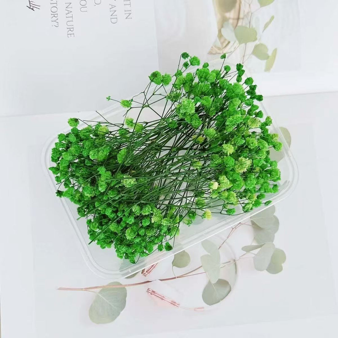 Dried Natural Baby Breathe Flowers