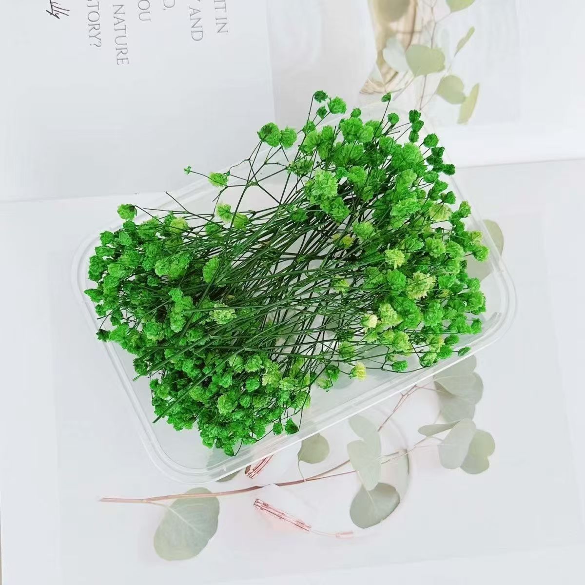 Dried Natural Baby Breathe Flowers