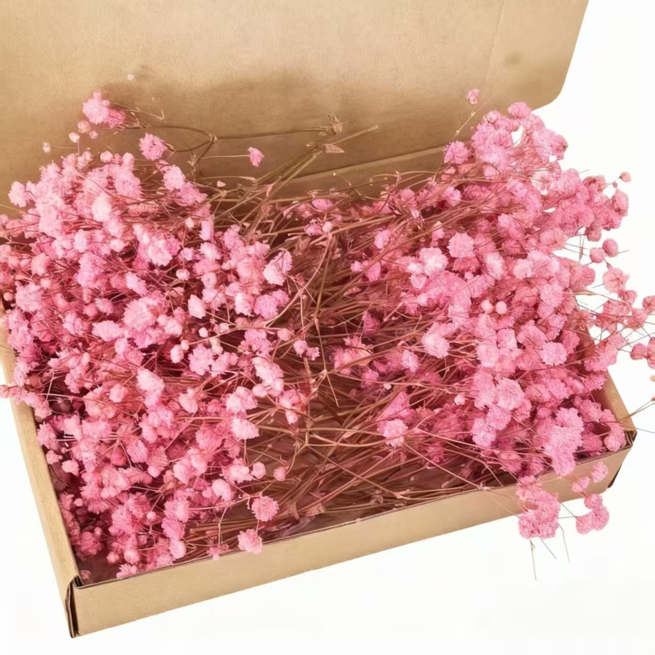Dried Natural Baby Breathe Flowers