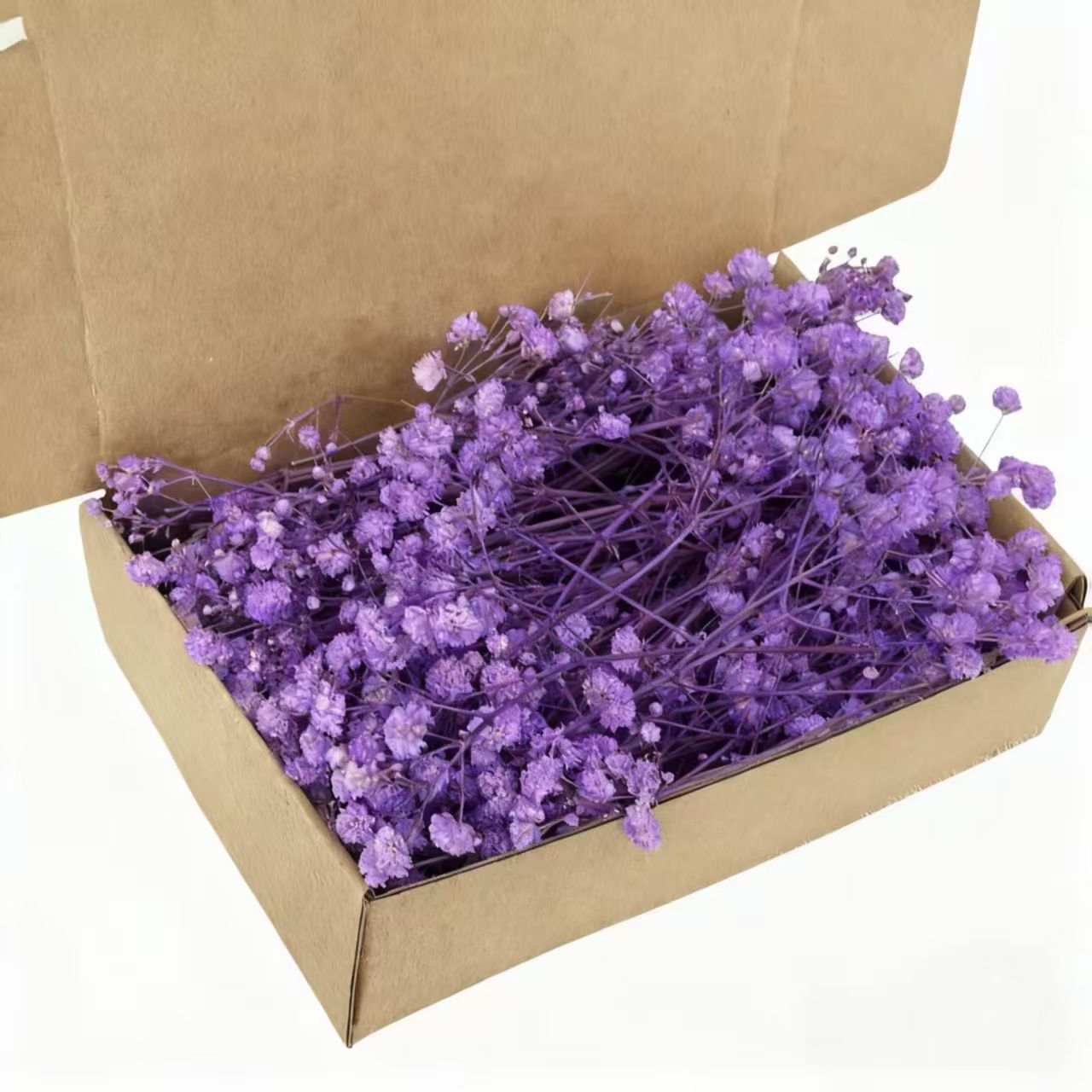 Dried Natural Baby Breathe Flowers
