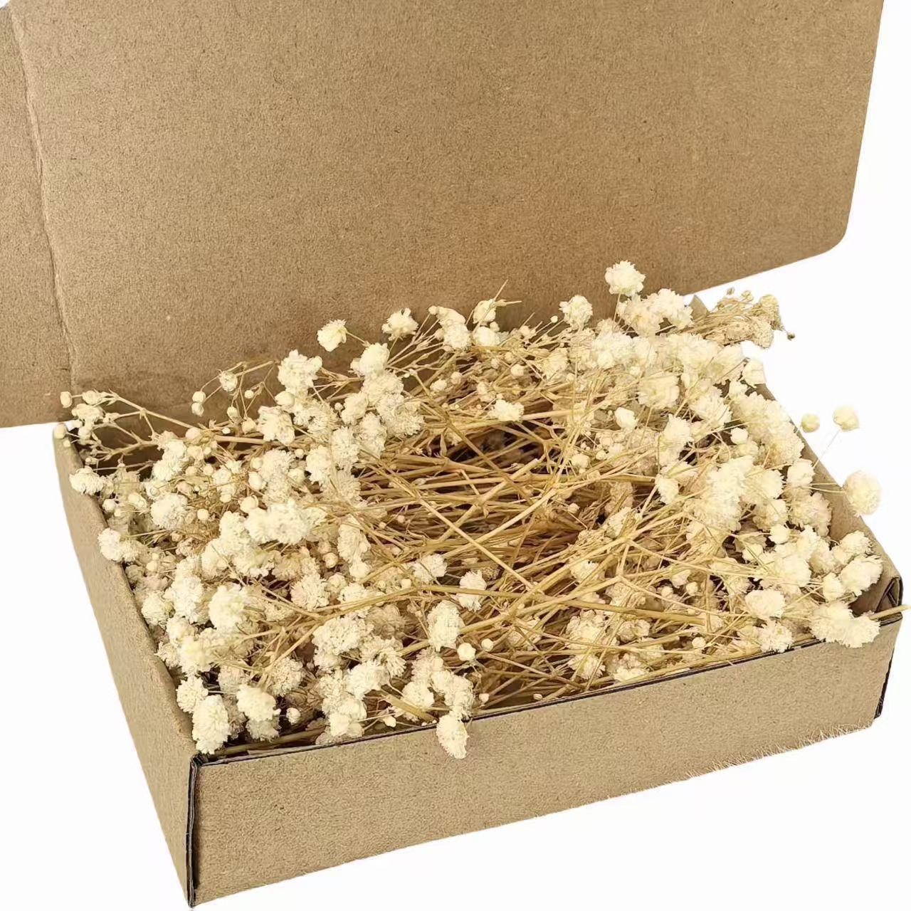Dried Natural Baby Breathe Flowers
