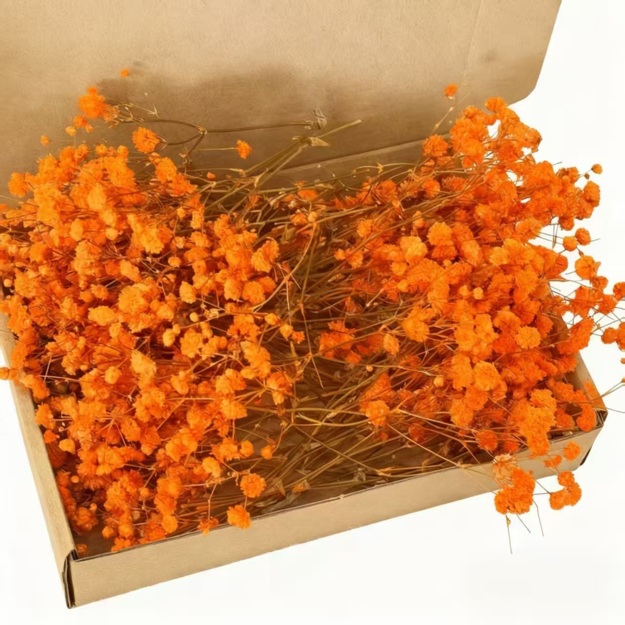 Dried Natural Baby Breathe Flowers