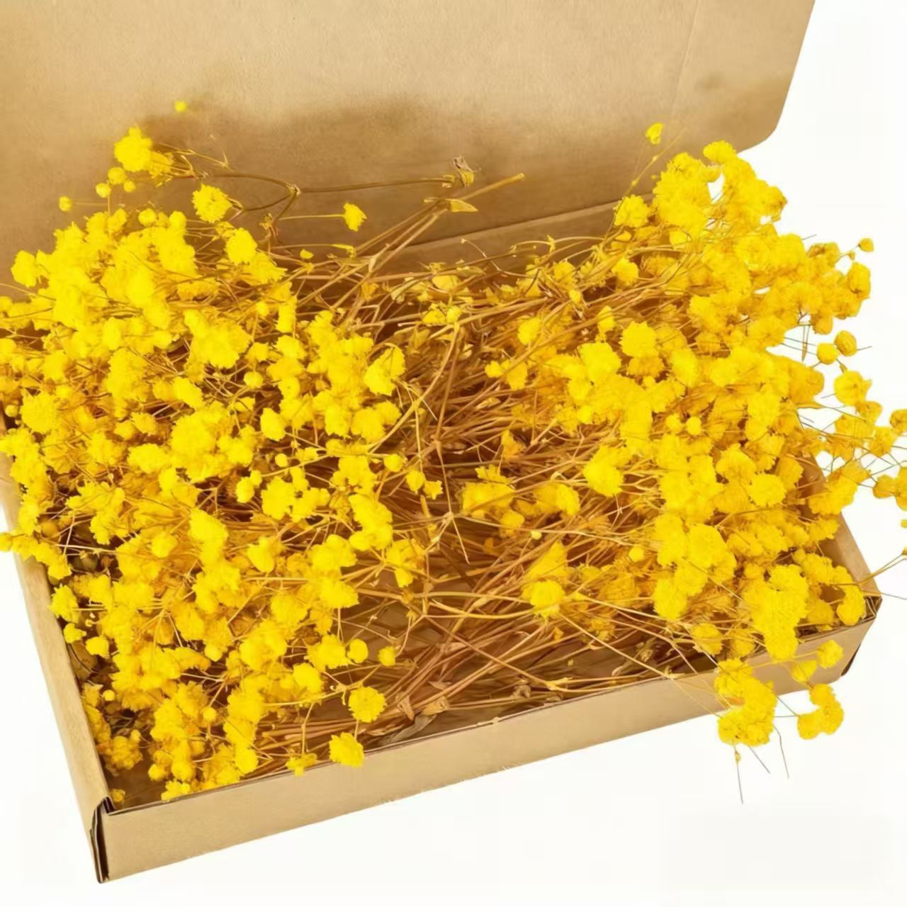 Dried Natural Baby Breathe Flowers