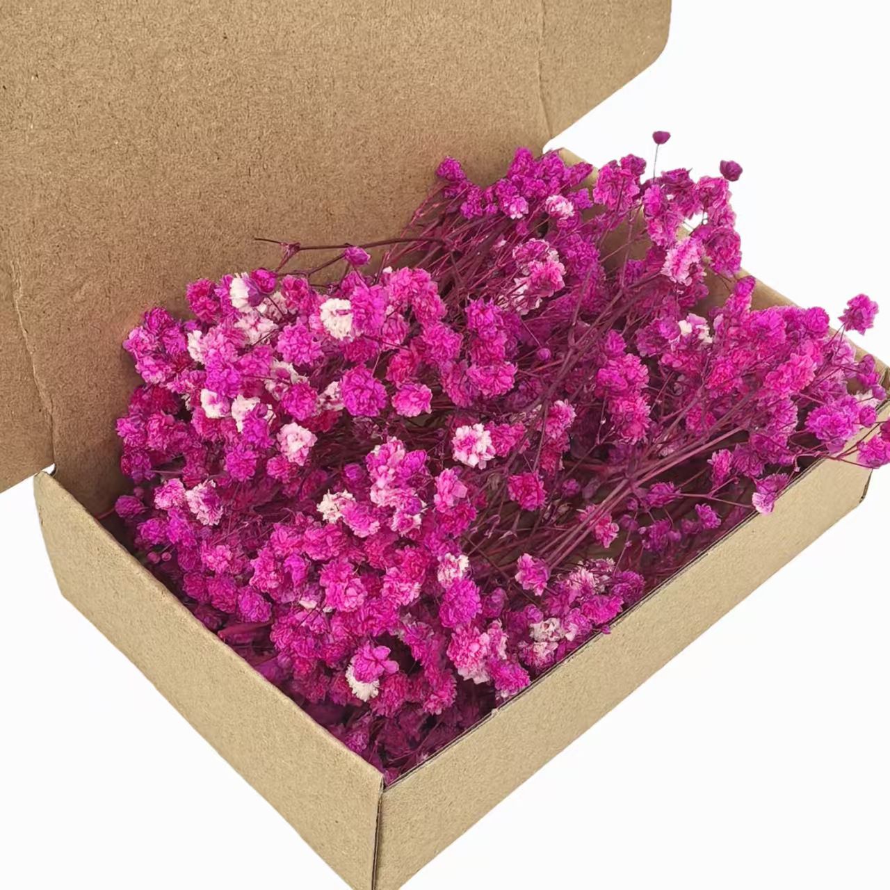 Dried Natural Baby Breathe Flowers